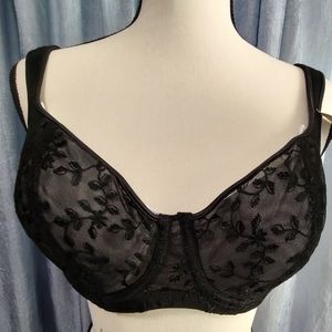 Natori 40DD sheer NWT full fit bra